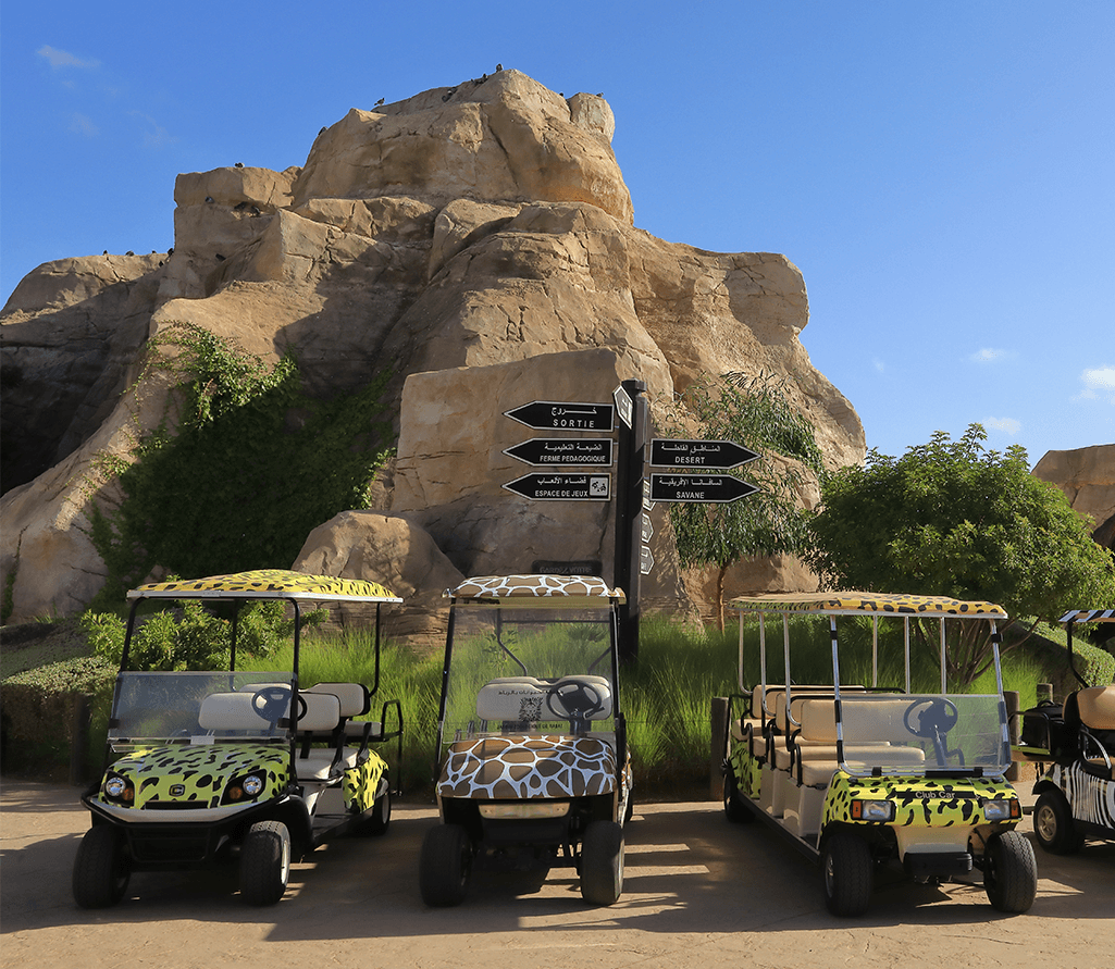 Zoo Taxi